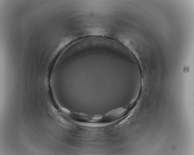 X0000092000249200709061445