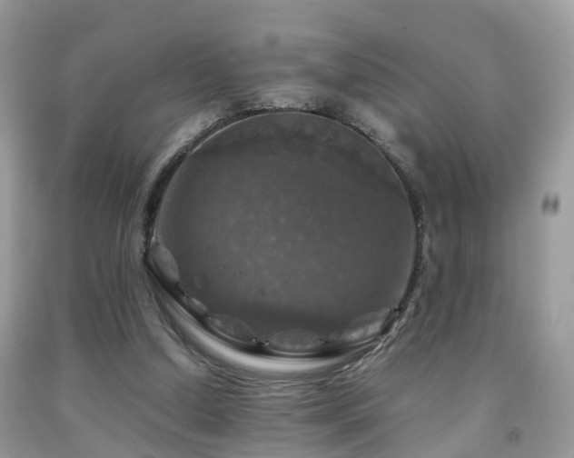 X0000092000250200709061445