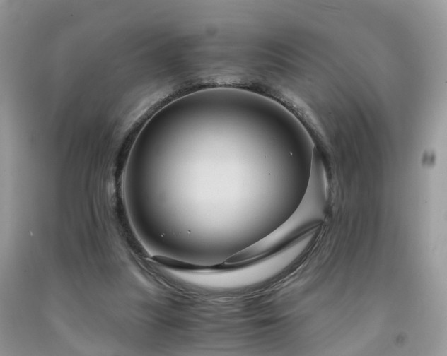 X0000092000251200709061445