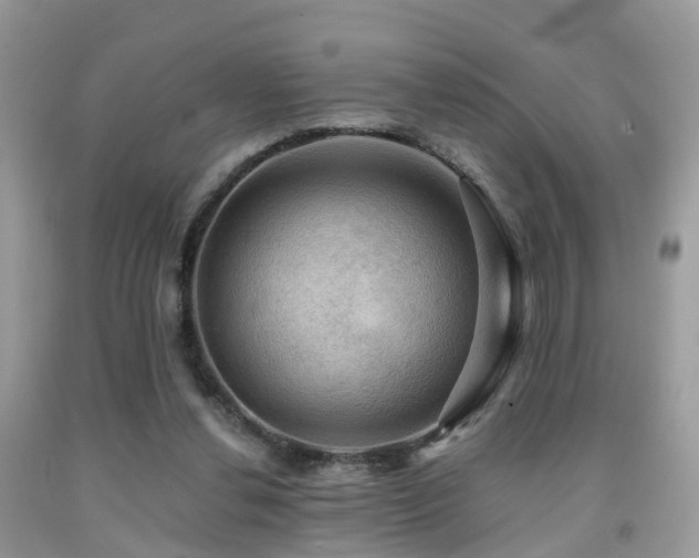 X0000092000252200709061445