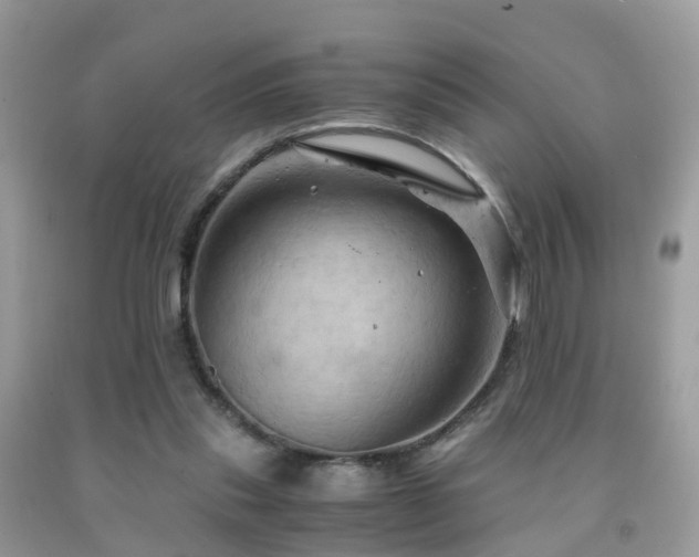 X0000092000253200709061445