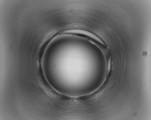 X0000092000254200709061445