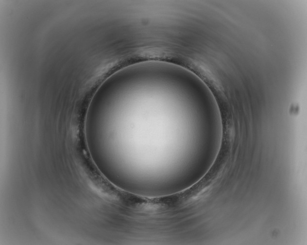 X0000092000255200709061445