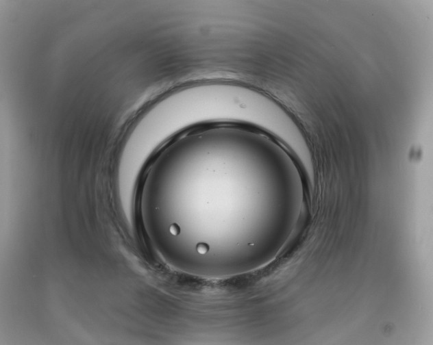 X0000092000256200709061445