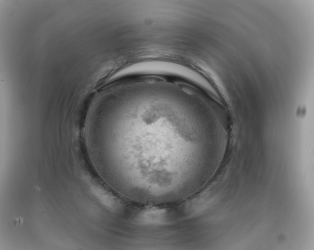 X0000092000257200709061445