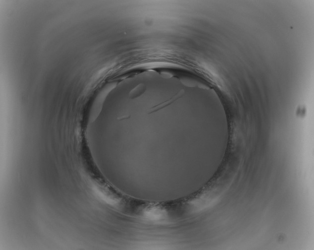 X0000092000258200709061445