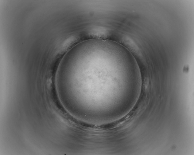 X0000092000259200709061445