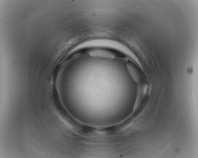 X0000092000260200709061445