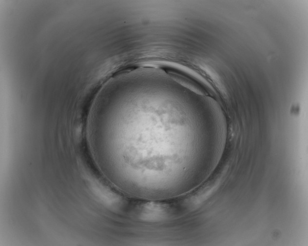 X0000092000261200709061445