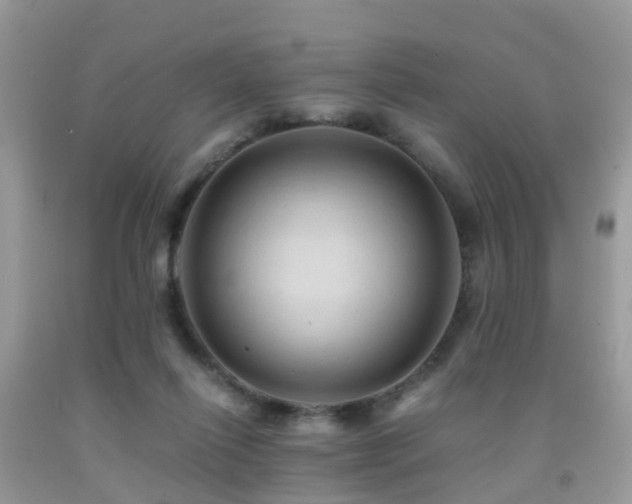 X0000092000262200709061445