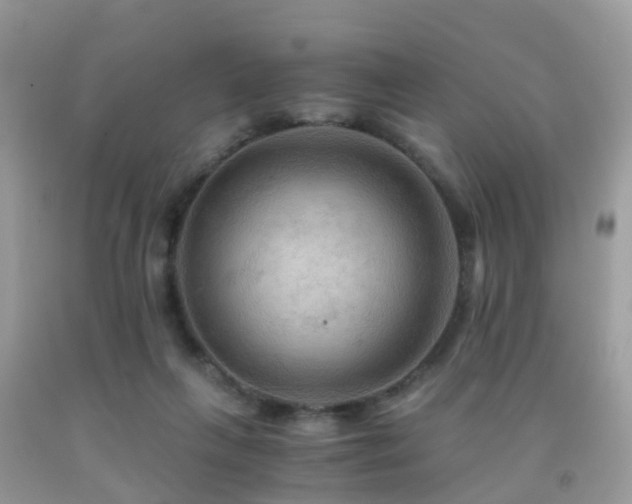 X0000092000263200709061445