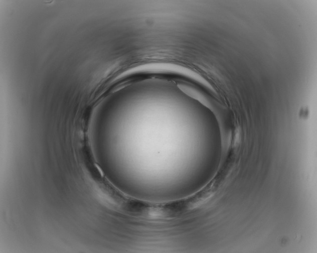 X0000092000264200709061445