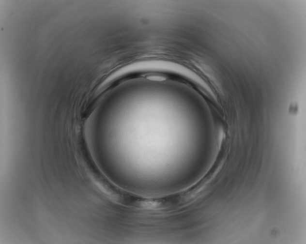 X0000092000265200709061445