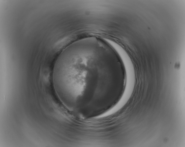 X0000092000266200709061445