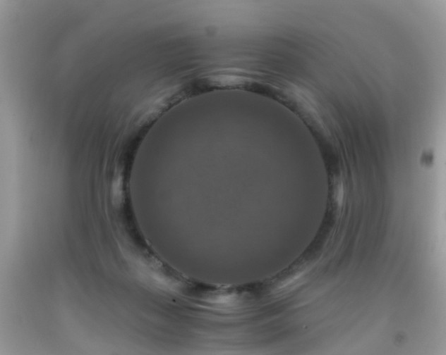 X0000092000267200709061445