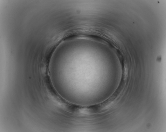 X0000092000268200709061445