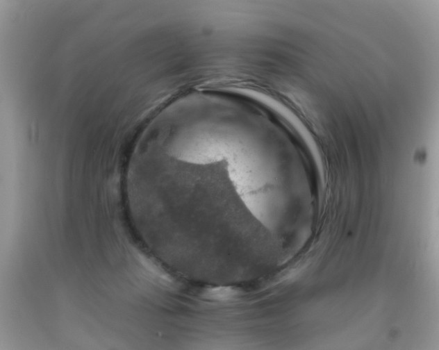 X0000092000269200709061445