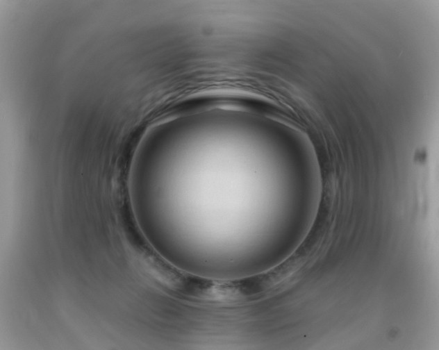 X0000092000270200709061445