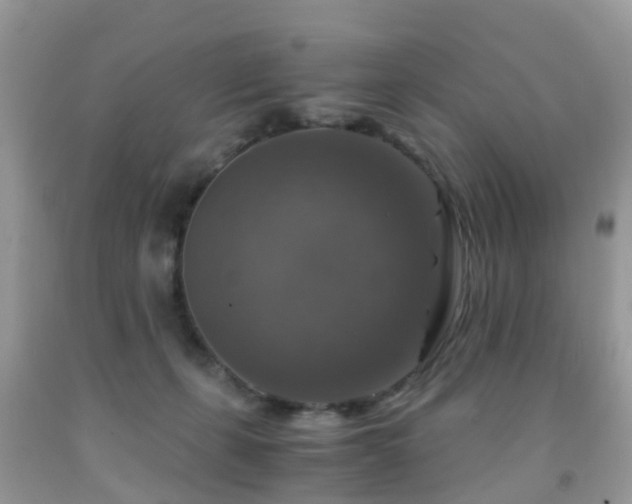 X0000092000271200709061445