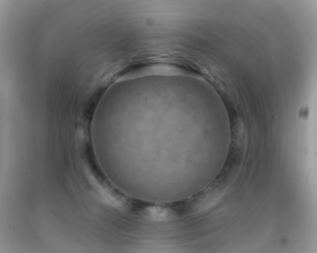 X0000092000272200709061445