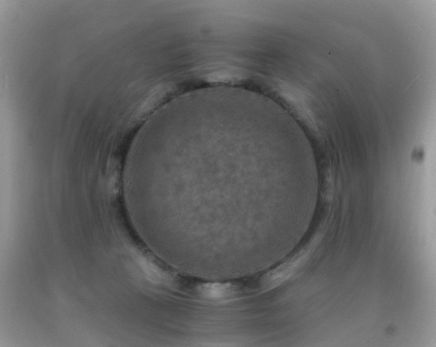 X0000092000273200709061445