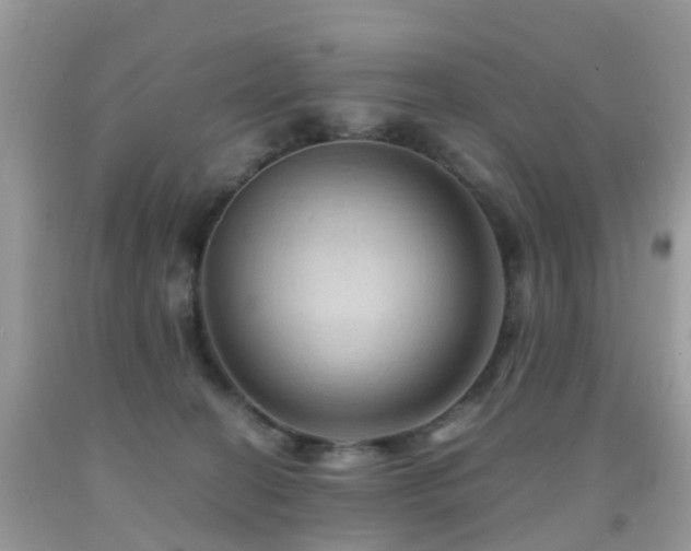 X0000092000274200709061445