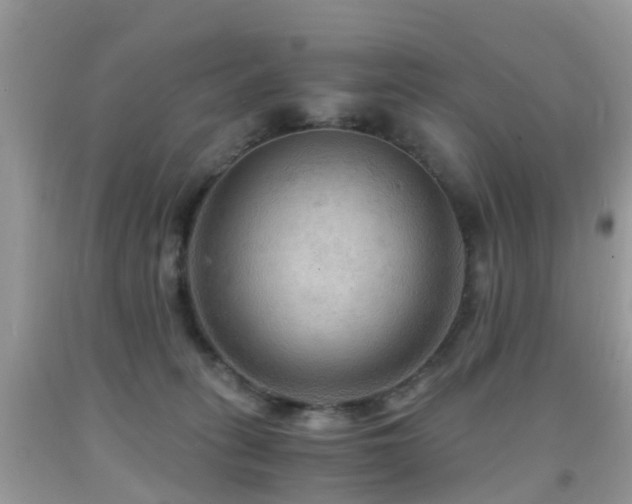 X0000092000275200709061445