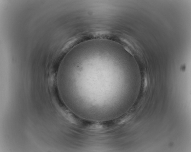 X0000092000276200709061445