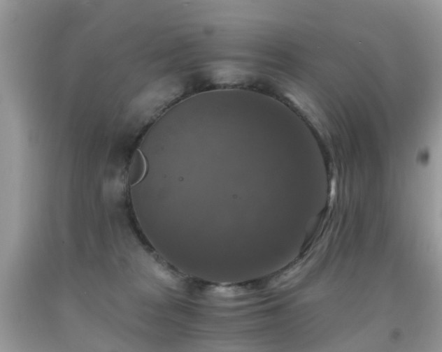 X0000092000277200709061445