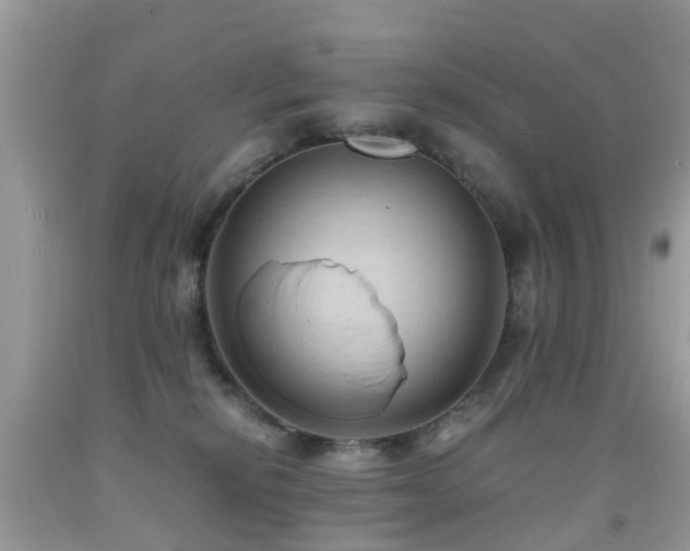 X0000092000278200709061445