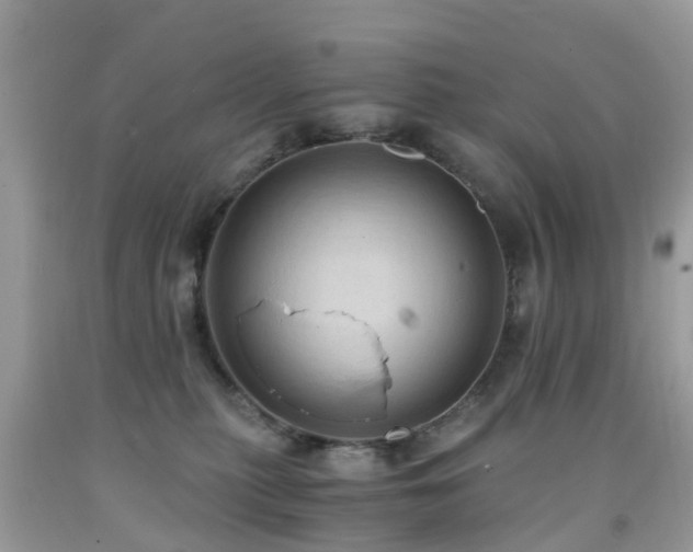 X0000092000279200709061445