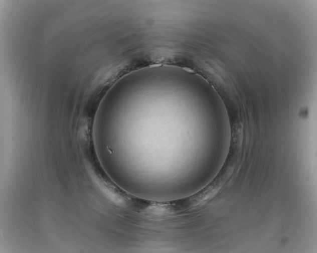 X0000092000280200709061445