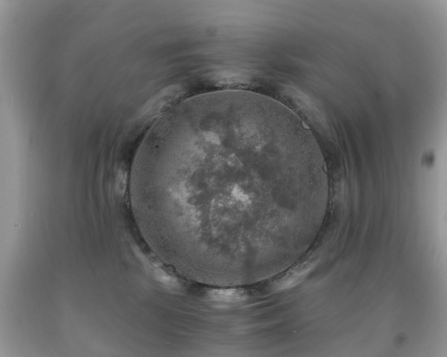 X0000092000281200709061445