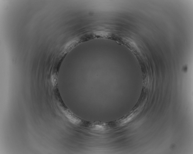 X0000092000285200709061445