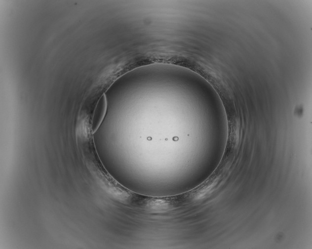 X0000092000287200709061445