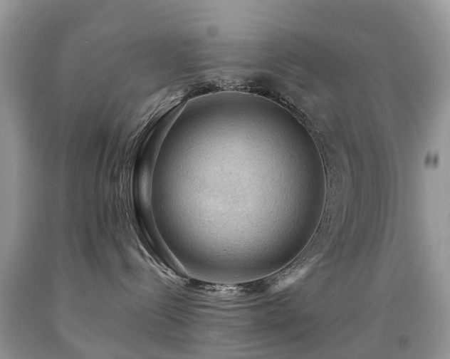 X0000092000288200709061445