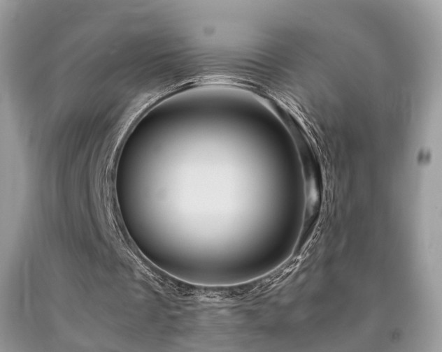 X0000092000289200709061445