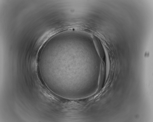 X0000092000290200709061445