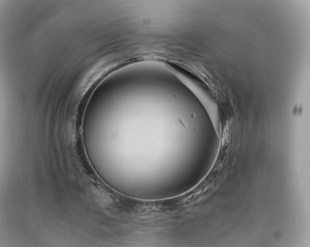 X0000092000291200709061445