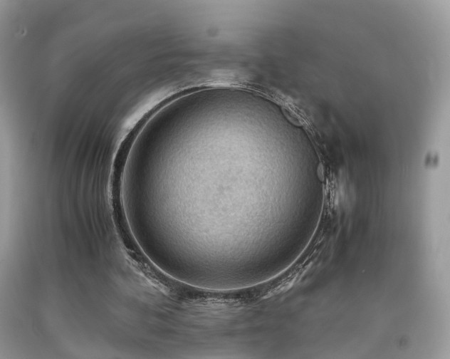 X0000092000292200709061445