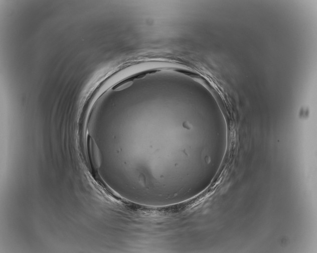 X0000092000293200709061445