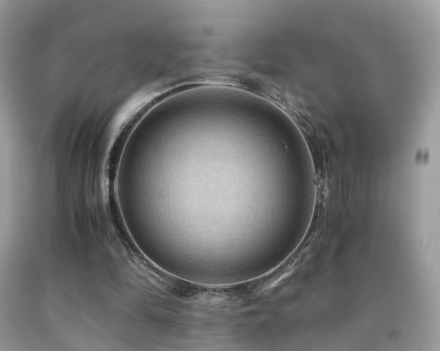 X0000092000294200709061445