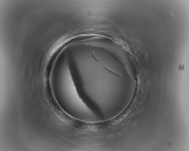 X0000092000295200709061445