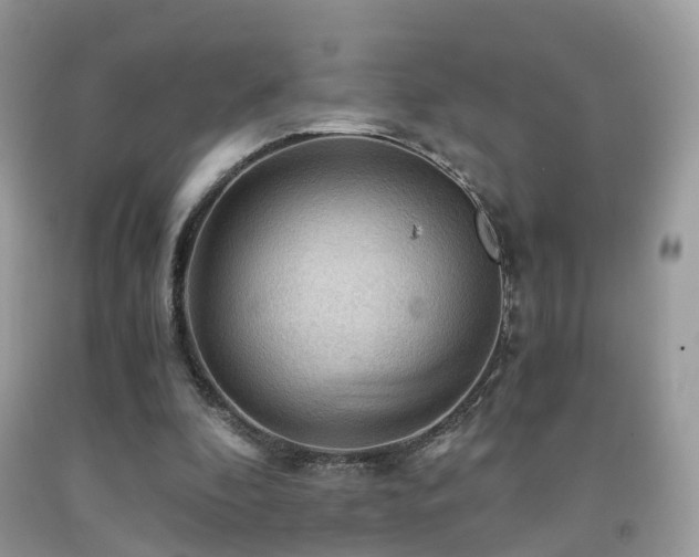 X0000092000296200709061445