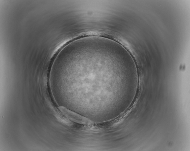 X0000092000297200709061445