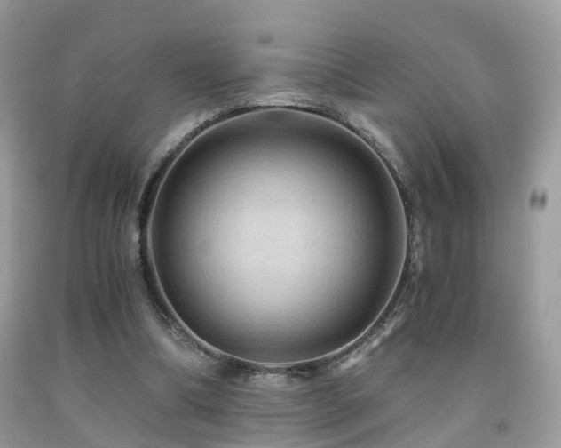 X0000092000298200709061445