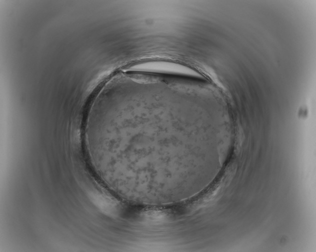 X0000092000299200709061445