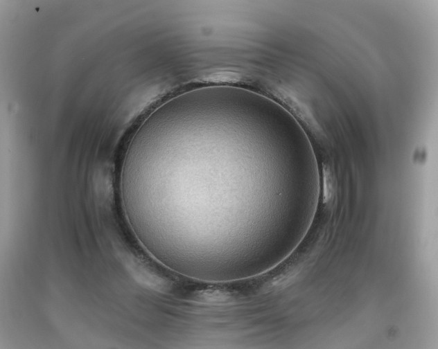 X0000092000300200709061445