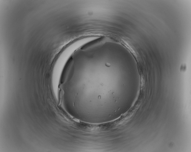 X0000092000301200709061445