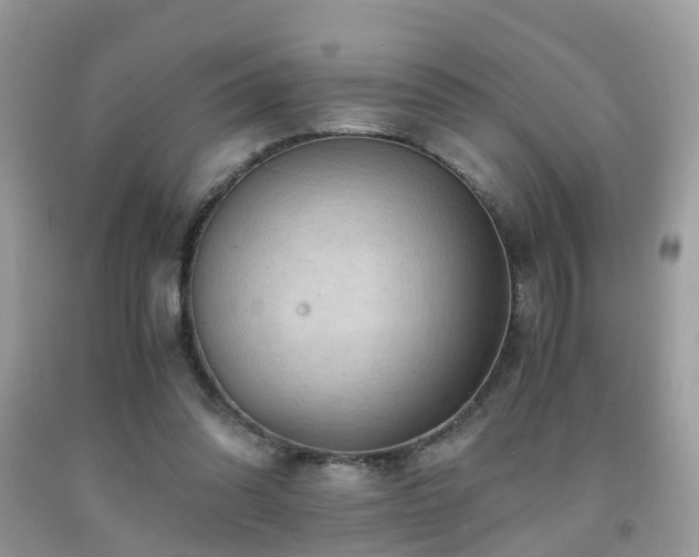 X0000092000302200709061445